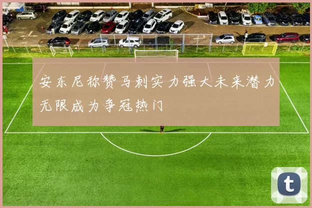 安东尼称赞马刺实力强大未来潜力无限成为争冠热门